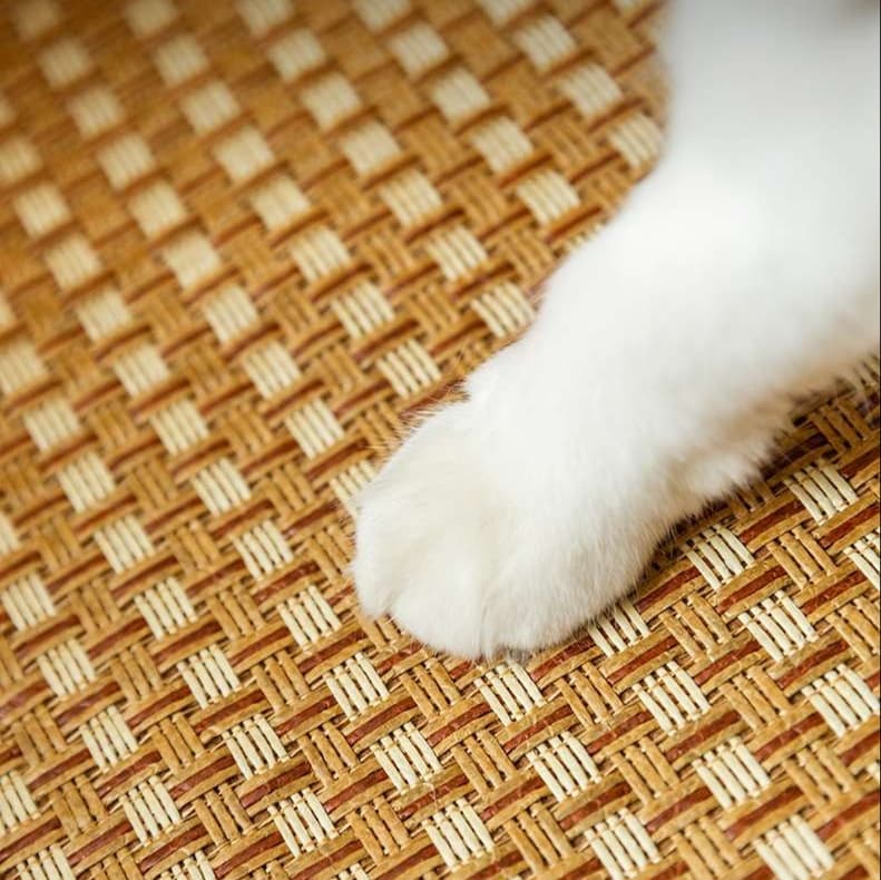 藤編みドレス型猫ハンモック夏用涼感